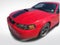 2004 Ford Mustang Mach 1 Premium